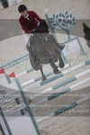 ref. photo 3048074