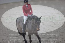 ref. photo 3048097