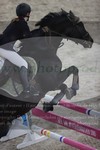 ref. photo 3048141
