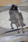 ref. photo 3048166