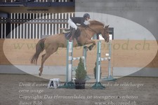ref. photo 3048286