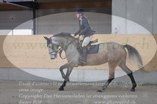 ref. photo 3048388