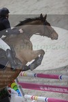 ref. photo 3048396