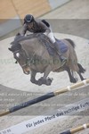 ref. photo 3048475
