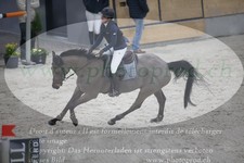 ref. photo 3048523