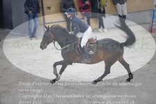 ref. photo 3048736