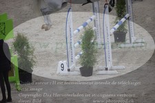 ref. photo 3048786