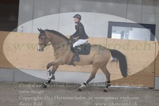 ref. photo 3049054