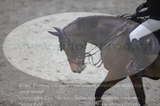 ref. photo 3049173