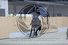 ref. photo 3518132