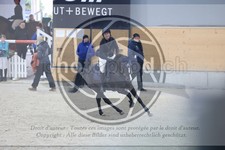 ref. photo 3518151