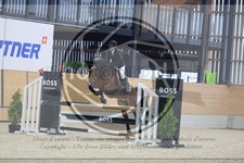 ref. photo 3518242