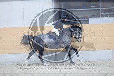 ref. photo 3518274