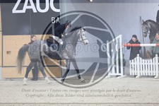 ref. photo 3518276