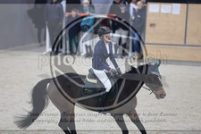 ref. photo 3518289