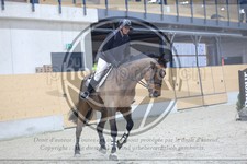 ref. photo 3518294