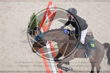 ref. photo 3518307