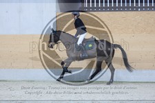 ref. photo 3518314