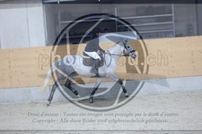 ref. photo 3518331