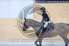 ref. photo 3518430