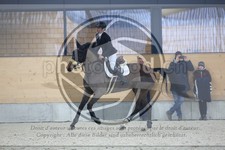 ref. photo 3518437