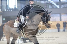 ref. photo 3518438