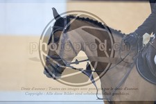 ref. photo 3518486