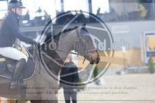 ref. photo 3518495