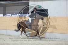 ref. photo 3518510