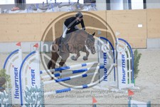 ref. photo 3518527