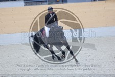 ref. photo 3518547