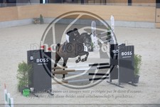 ref. photo 3518578