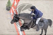 ref. photo 3518584