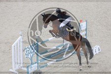 ref. photo 3518624