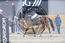 ref. photo 3518634