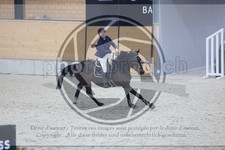 ref. photo 3518694