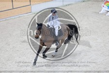 ref. photo 3518712