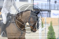 ref. photo 3518726