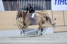 ref. photo 3518757