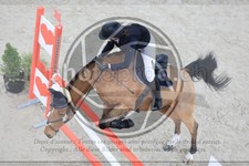 ref. photo 3518828