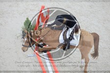 ref. photo 3518845