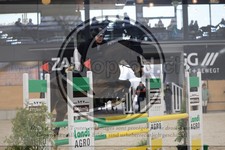ref. photo 3518847