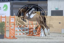 ref. photo 3518857