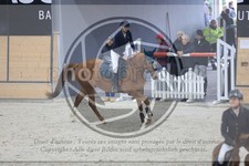 ref. photo 3518867