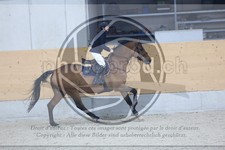 ref. photo 3519114