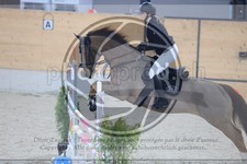 ref. photo 3519130