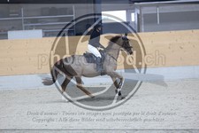 ref. photo 3519134
