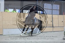 ref. photo 3519259