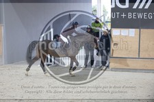 ref. photo 3519270