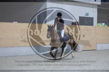 ref. photo 3519385